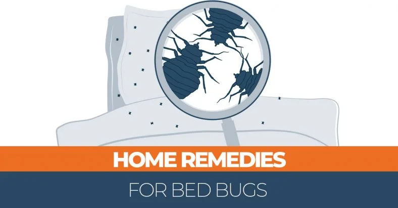 home remedies for bed bugs social media image