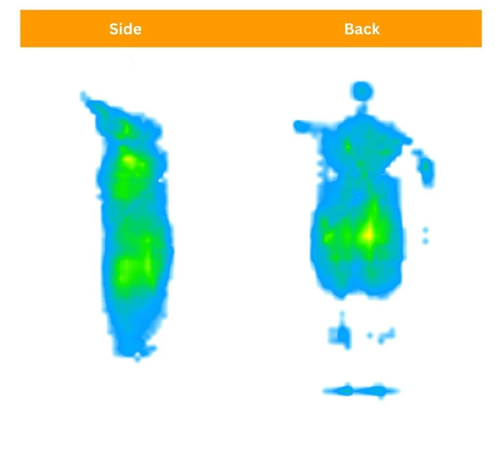 Nectar Mattress Review for 2026, Expert Tested 9 Nectar Classic Memory Foam Sosha pressure map