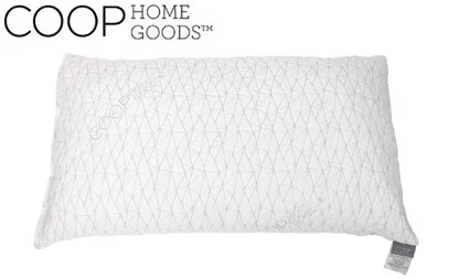 Best King-Size Pillows 8 Coop Eden Pillow
