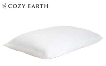 Best King-Size Pillows 10 Cozy Earth Silk Pillow
