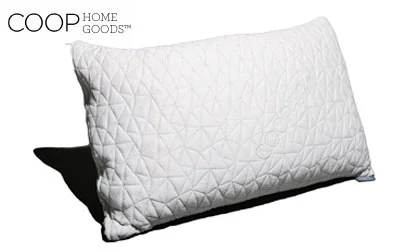 Best Pillows on Amazon - 2026 Reviews and Ratings 14 image of coop home goods