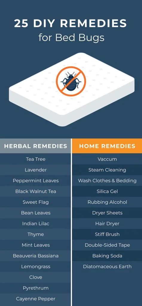 25 Natural Home Remedies for Bed Bugs 2 bed bugs remedies