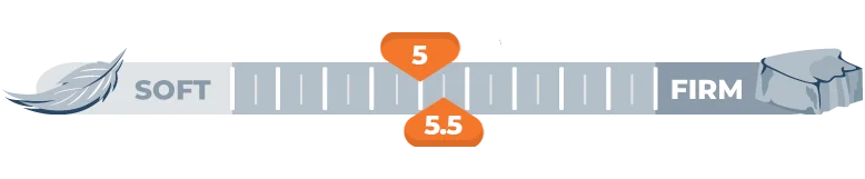 firmnes scale for 5 and 5.5