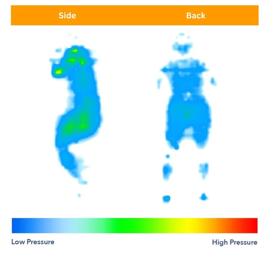 Saatva HD Mattress Pressure Testing