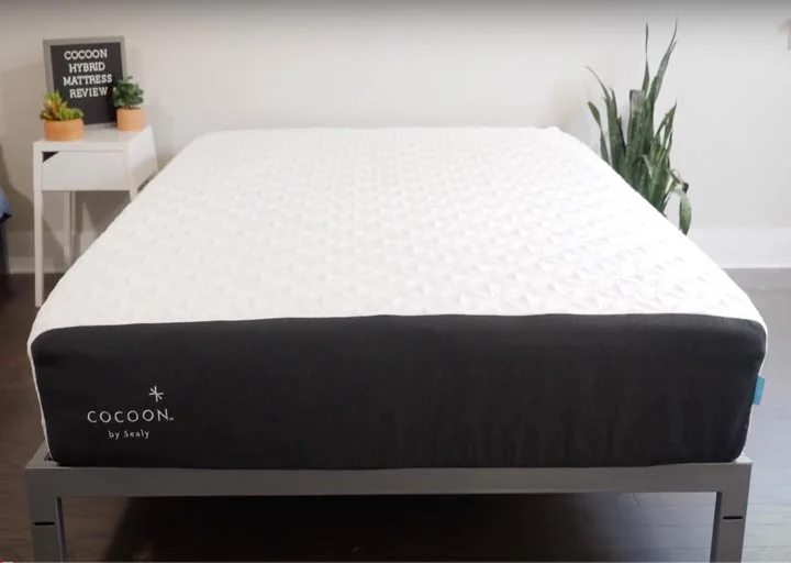The Cocoon Chill by Sealy Mattress Review updated for 2026 14 Cocoon Chill Hybrid Mattress