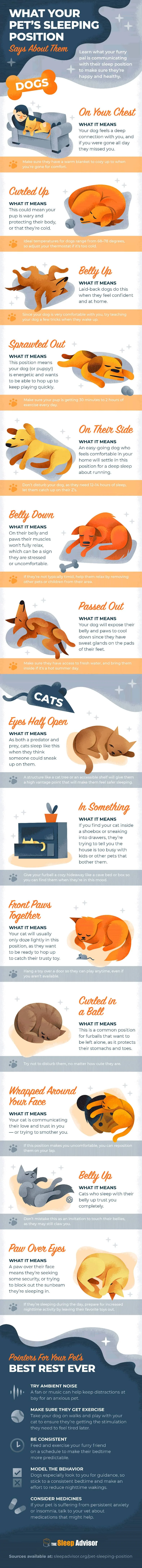 What Your Pet’s Sleeping Position Says About Them 2 Infographic Showing What Pet's Sleeping Position Tells about Them