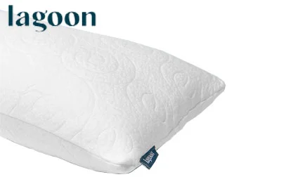 5 Best Bamboo Pillows in 2026 โ Our Review Guide 6 Lagoon Lemur Pillow