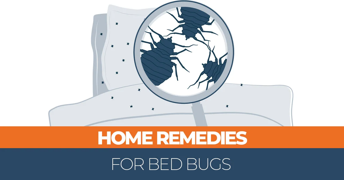 Sleep Hygiene 17 25 Natural Home Remedies for Bed Bugs