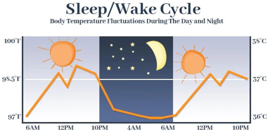 54 Sleep Statistics and Trends for 2026 2 Body Temperature Fluctuations Graph