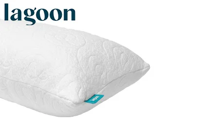 Best Gel Pillow - Our Top 6 Products for 2026 3 Lagoon Otter Pillow
