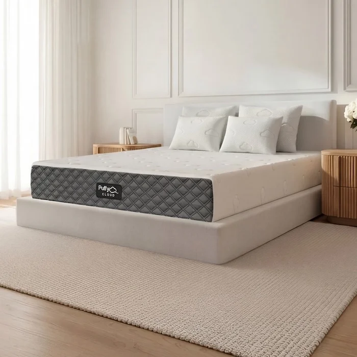 Zinus Mattress Brand Competitors and Alternatives 32 puffy cloud sa