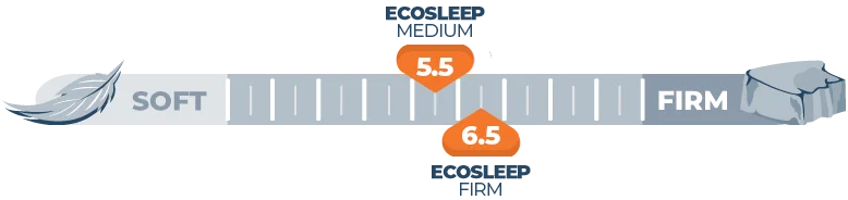 Brooklyn Bedding EcoSleep Mattress Review for 2026 5 Mattress Firmness Scale EcoSleep