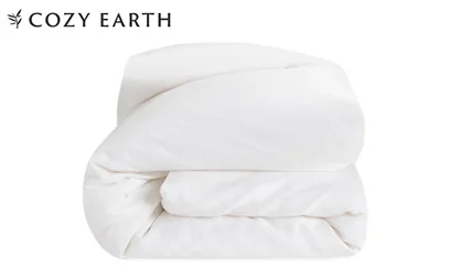 Best Comforter - Top 5 Products Rated by Sleep Experts 5 Cozy Earth Silk Comforter