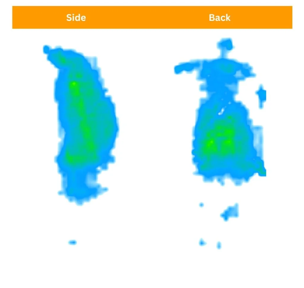 Nectar Luxe Foam pressure maps for Sosha