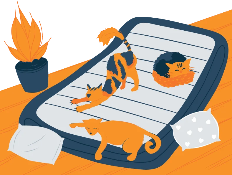 How to Clean an Air Mattress: DIY Tips 4 Illustration of a Cats Sleeping on an Air Mattress