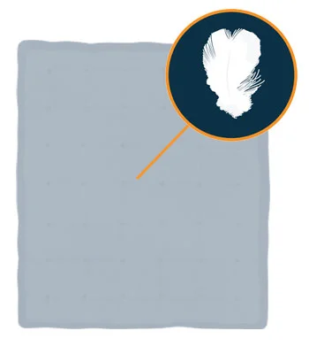 Best Comforter - Top 5 Products Rated by Sleep Experts 10 comforter with duck down filling