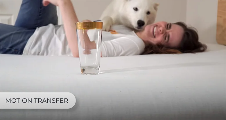 Testing motion transfer on Casper Wave Hybrid