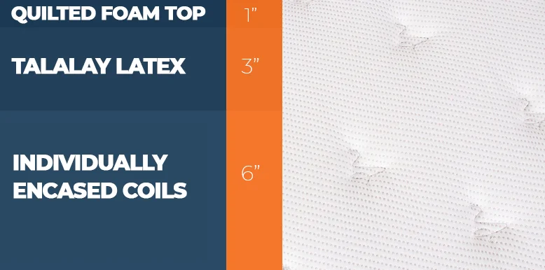 Our In-Depth Dreamfoam Latex Review for 2026 4 layers of elements latex hybrid