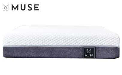 Our Muse Bed Review for 2026 2 muse updated product image