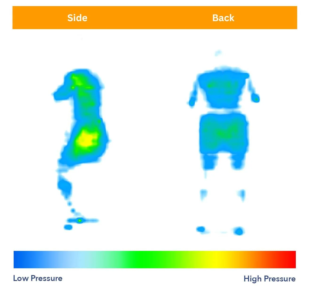 Saatva Memory Foam Pressure Map